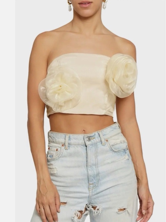 Know One Cares Tops - Know One Cares Ivory Strapless Floral Appliqué Crop Top